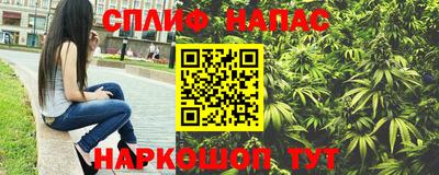 Альфа ПВП Обь